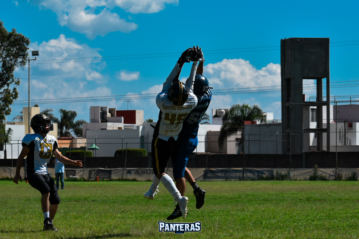 Niños entrenando fútbol americano