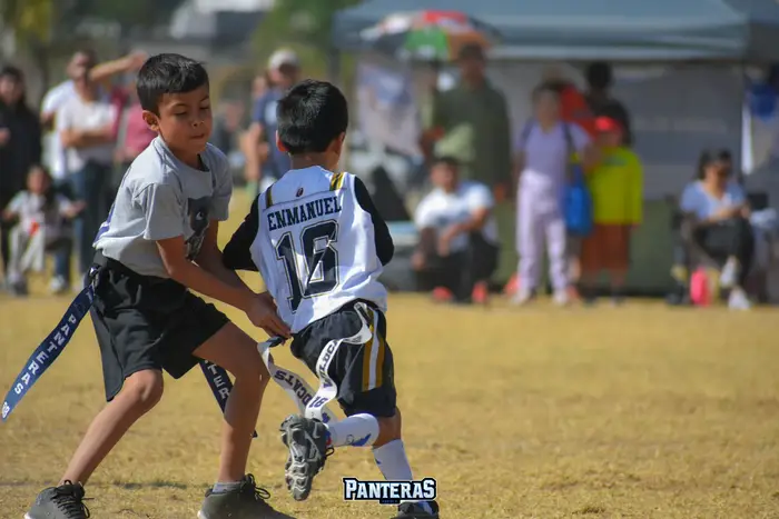 Flag babys U8
